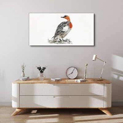 Red-breasted duck on white background Print on canvas