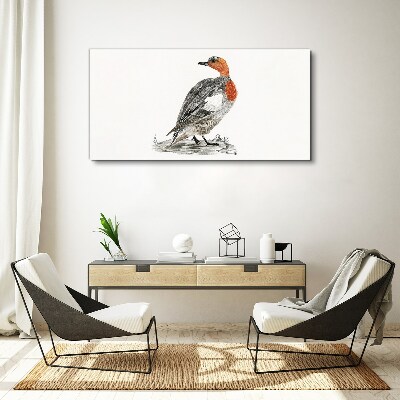 Drawing animal bird duck Canvas Wall art