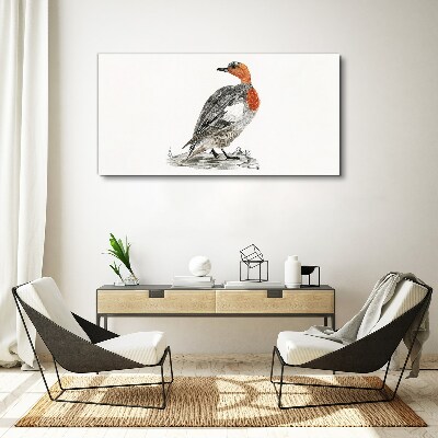 Red-breasted duck on white background Print on canvas