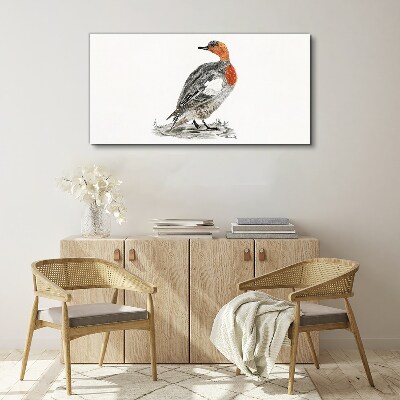 Red-breasted duck on white background Print on canvas