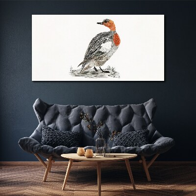 Red-breasted duck on white background Print on canvas