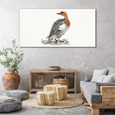 Red-breasted duck on white background Print on canvas