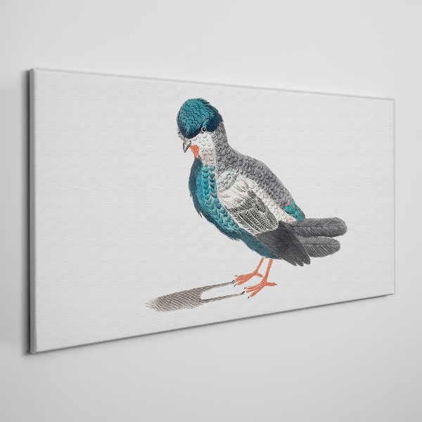 Colorful bird on white background Canvas wall art