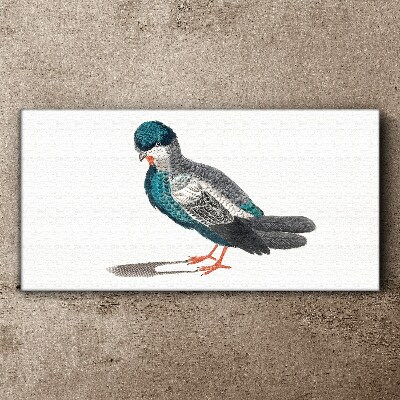 Colorful bird on white background Canvas wall art