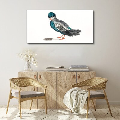 Colorful bird on white background Canvas wall art