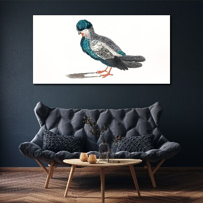 Colorful bird on white background Canvas wall art
