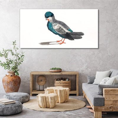 Colorful bird on white background Canvas wall art