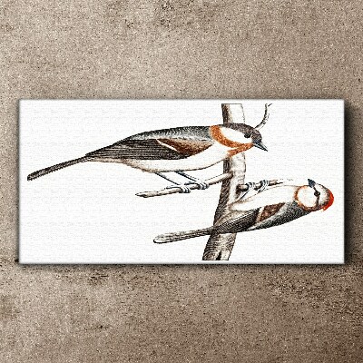 Nightingales on a branch Print on canvas