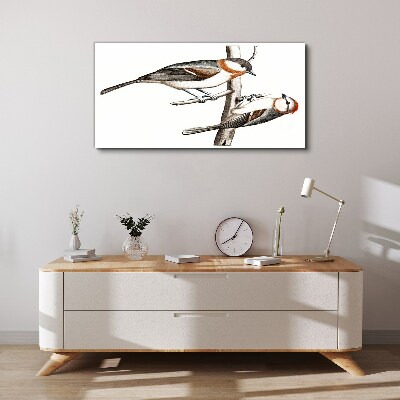 Nightingales on a branch Print on canvas
