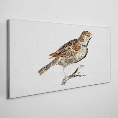 Figure animal bird branch Canvas Wall art