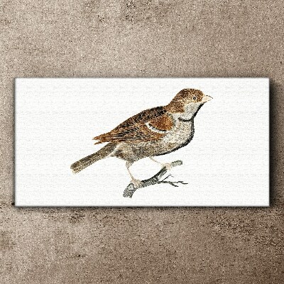 Figure animal bird branch Canvas Wall art