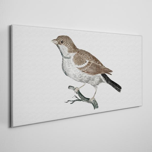 Nightingale on a branch Print on canvas