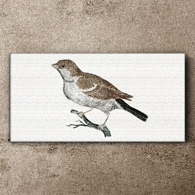 Nightingale on a branch Print on canvas