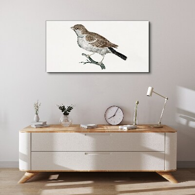 Figure animal bird branch Canvas Wall art