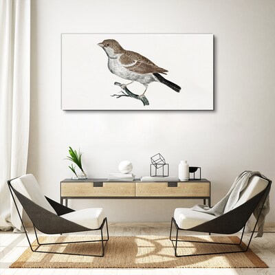 Nightingale on a branch Print on canvas