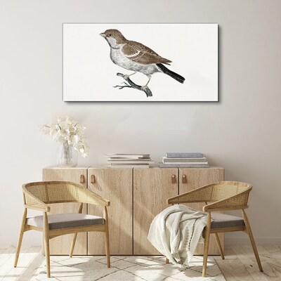 Nightingale on a branch Print on canvas