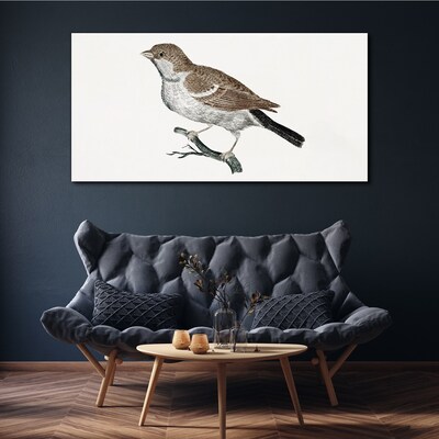 Nightingale on a branch Print on canvas