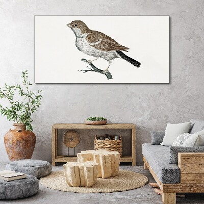 Nightingale on a branch Print on canvas