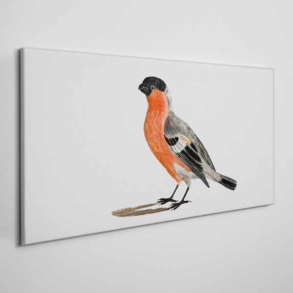 Robin against a white background Canvas wall art