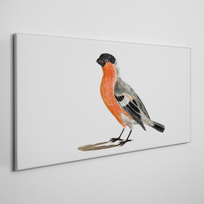 Robin against a white background Canvas wall art