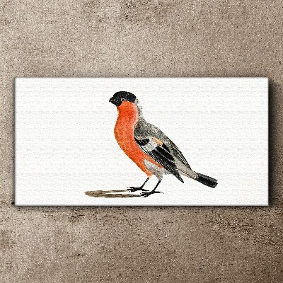 Drawing animal bird Canvas Wall art