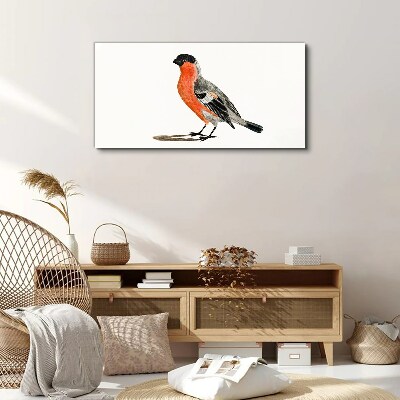 Robin against a white background Canvas wall art
