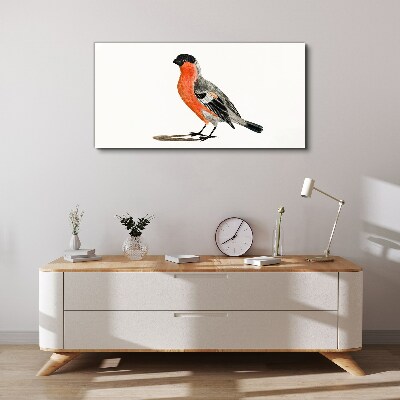 Robin against a white background Canvas wall art
