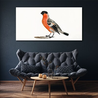 Robin against a white background Canvas wall art