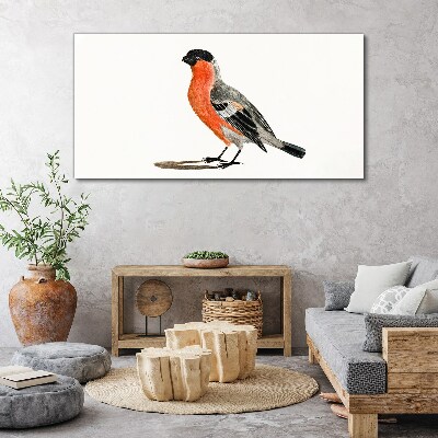 Robin against a white background Canvas wall art
