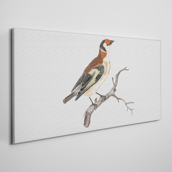 Bird on a branch Canvas wall art