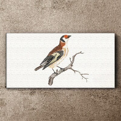 Figure animal bird branch Canvas Wall art