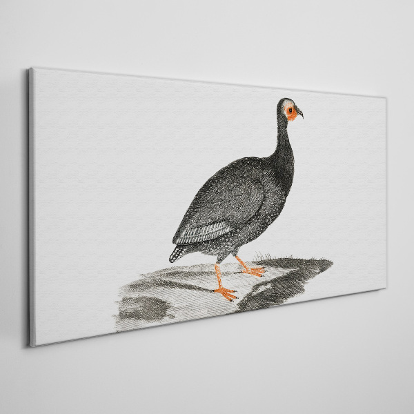 Black bird on white background Print on canvas