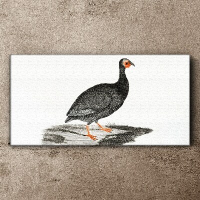 Black bird on white background Print on canvas