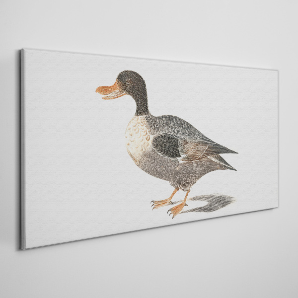 Duck in naturalistic style Print on canvas