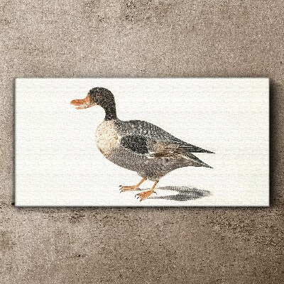 Duck in naturalistic style Print on canvas