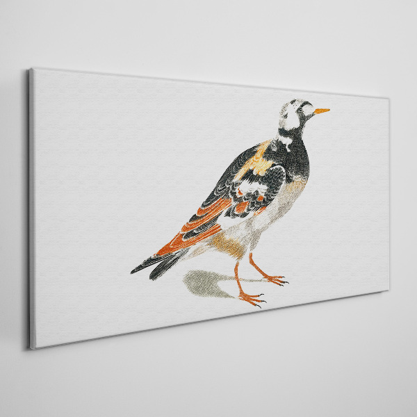 Bird on a white background Canvas wall art