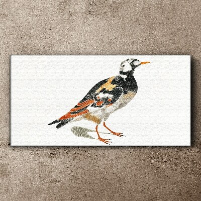 Bird on a white background Canvas wall art