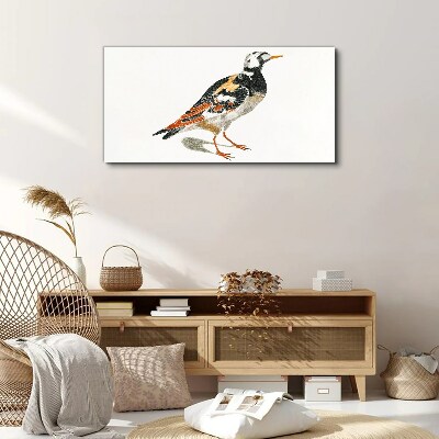 Bird on a white background Canvas wall art