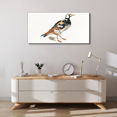 Bird on a white background Canvas wall art