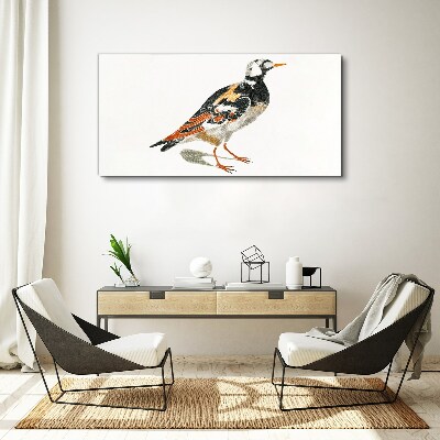 Bird on a white background Canvas wall art
