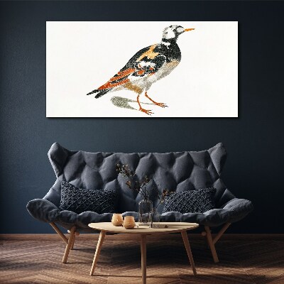 Bird on a white background Canvas wall art