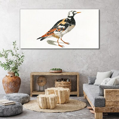 Bird on a white background Canvas wall art
