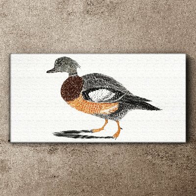 Drawing animal bird Canvas Wall art