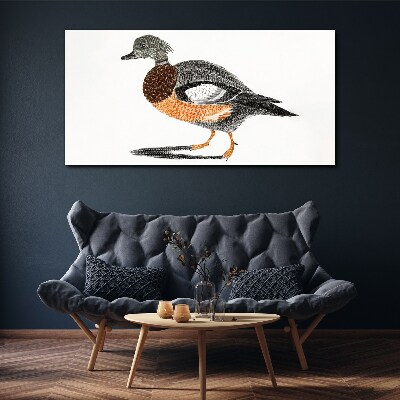 Drawing animal bird Canvas Wall art