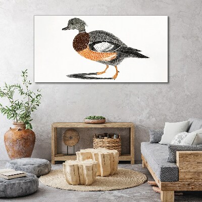 Drawing animal bird Canvas Wall art