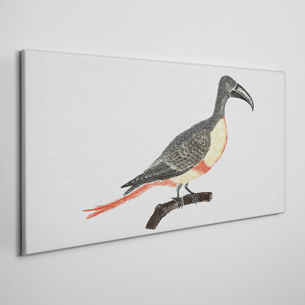 Figure animal bird branch Canvas Wall art