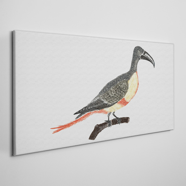 Toucan on a branch Canvas wall art