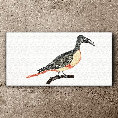 Figure animal bird branch Canvas Wall art