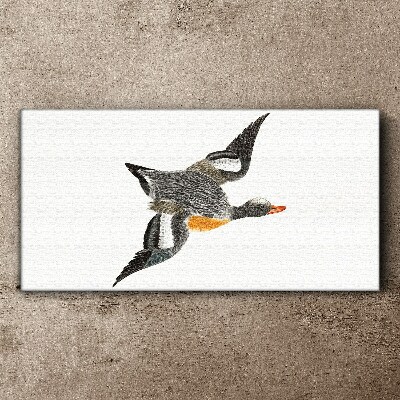 Drawing animal bird Canvas Wall art