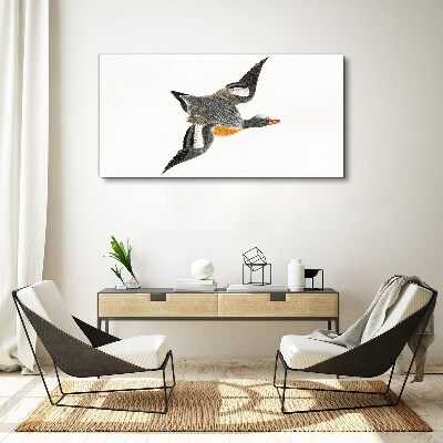 Drawing animal bird Canvas Wall art